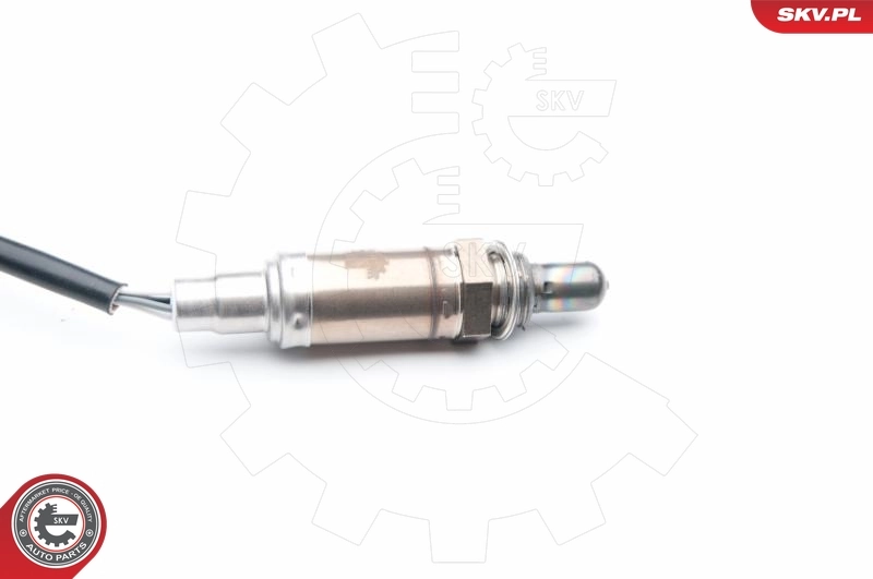 Oxygen Sensor